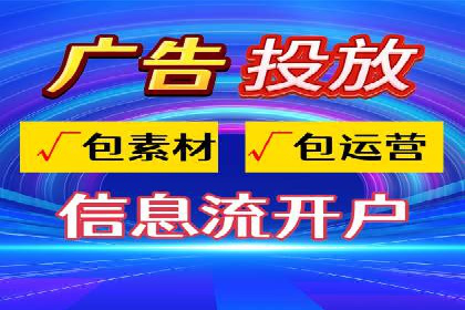 SEM广告投放策略：成功案例解析
